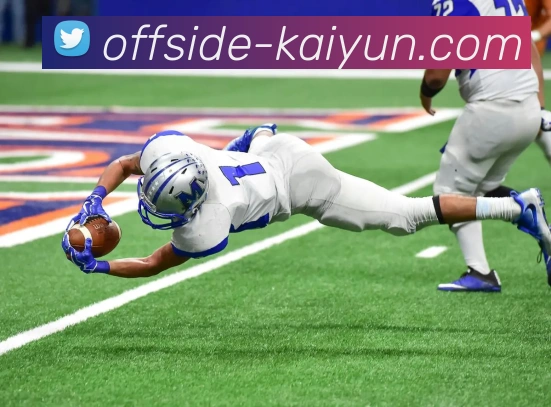 开云app平台生态图